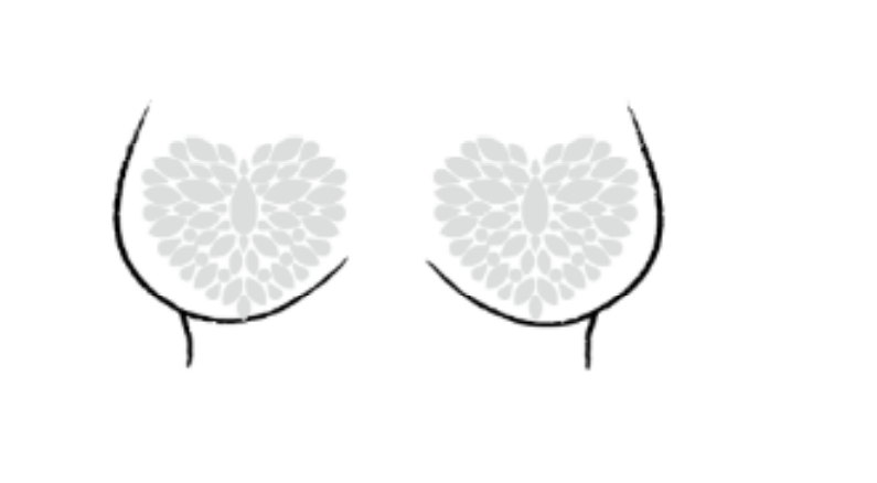 Heart Rhinestone Self-Adhesive Jewel Pasties