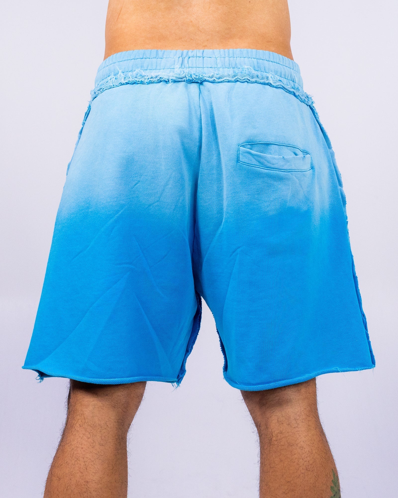 Washed Humanity Men's Blue Graphic Shorts