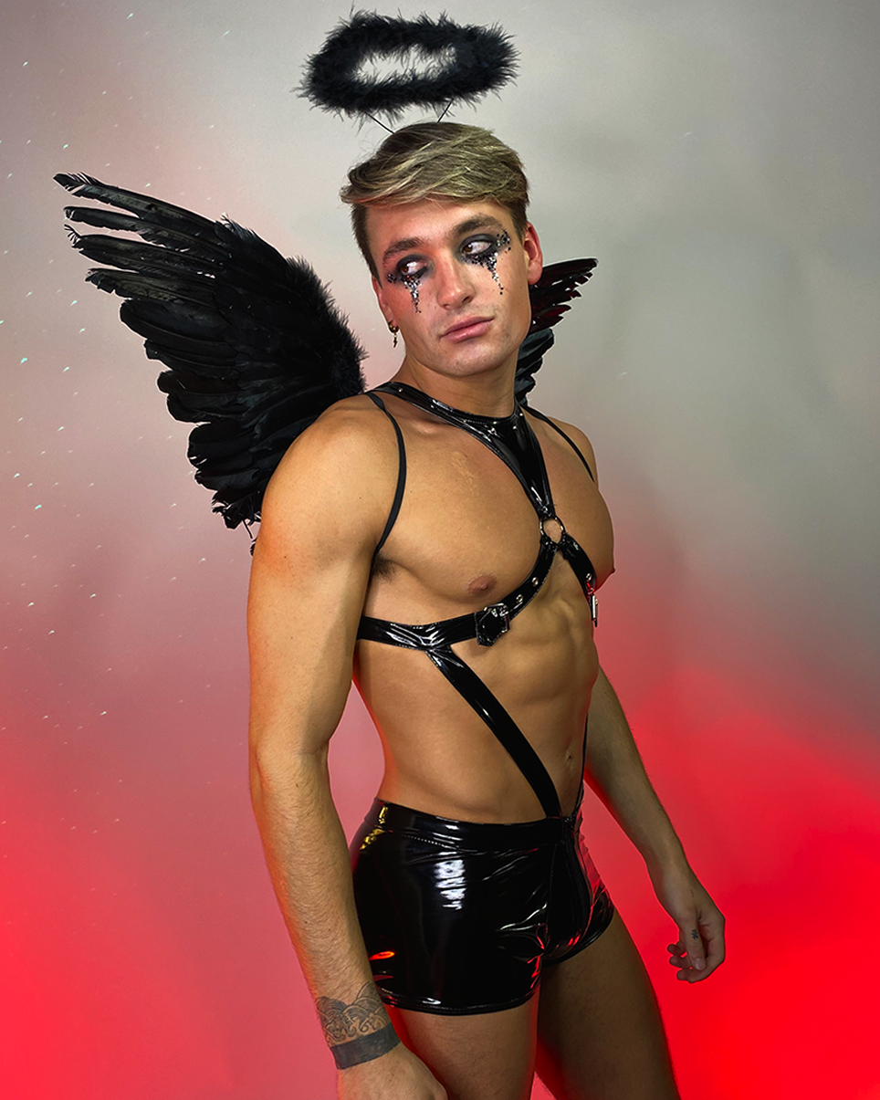 Dark Angel Men's Costume