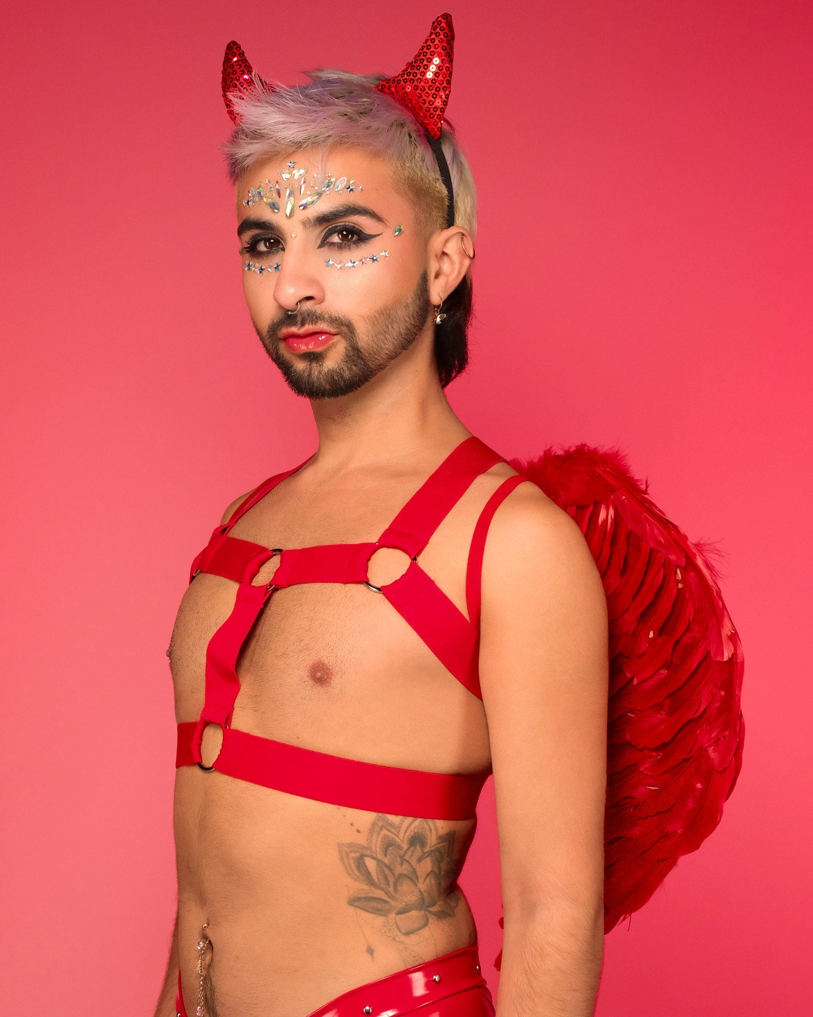 Red Feather Wings