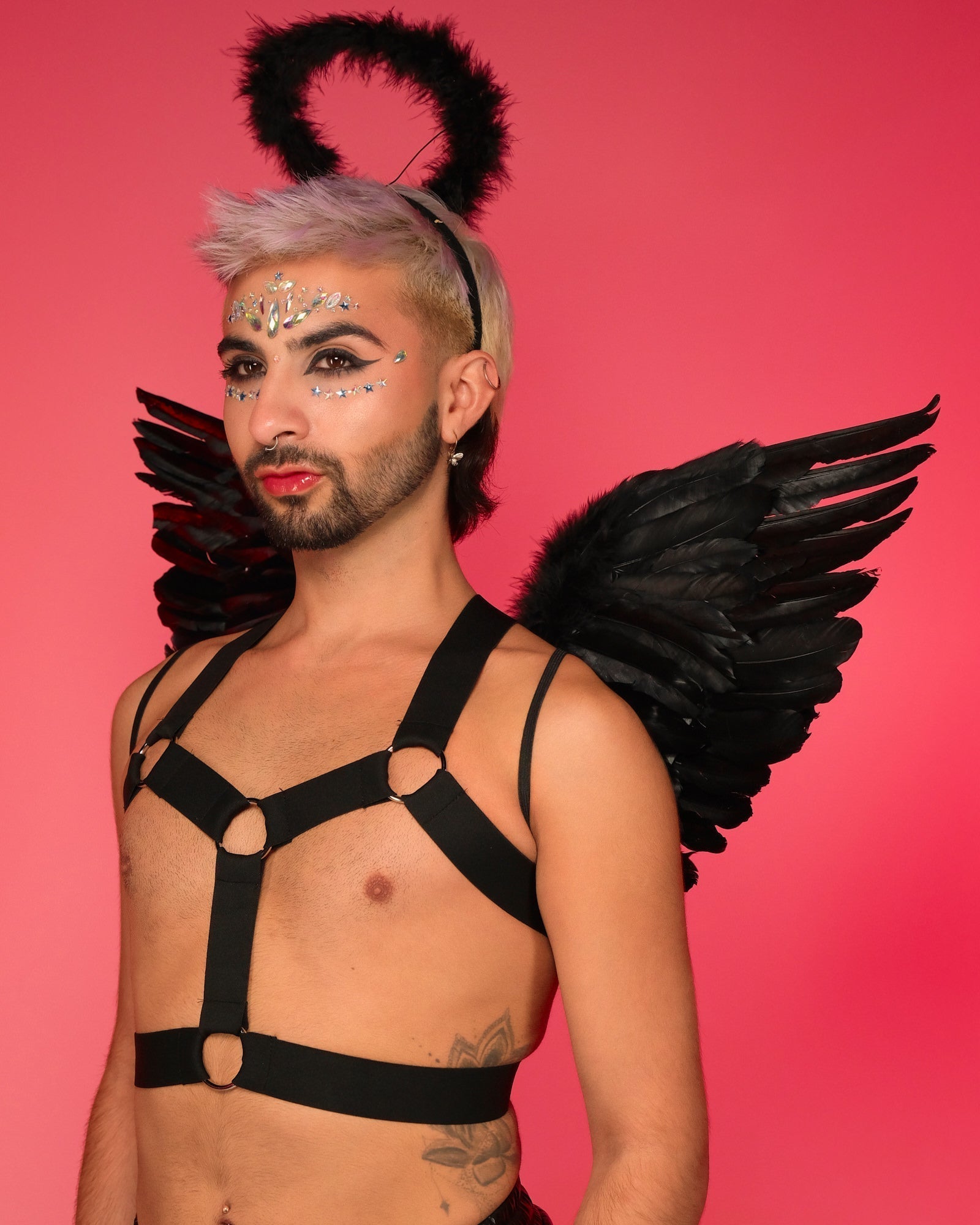 Black Wings & Halo Accessory Kit
