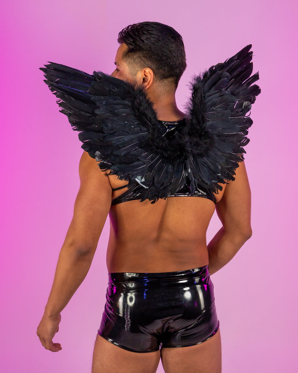 Dark Angel Men's Costume