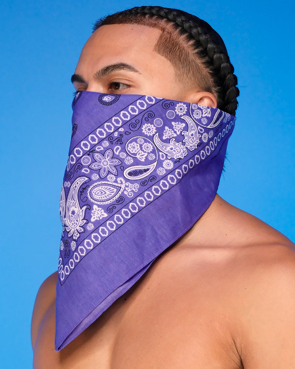 Basic Paisley Unisex Face Bandanna Mask