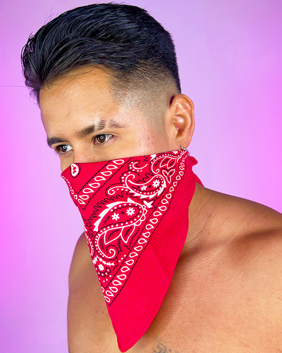 Basic Paisley Unisex Face Bandanna Mask