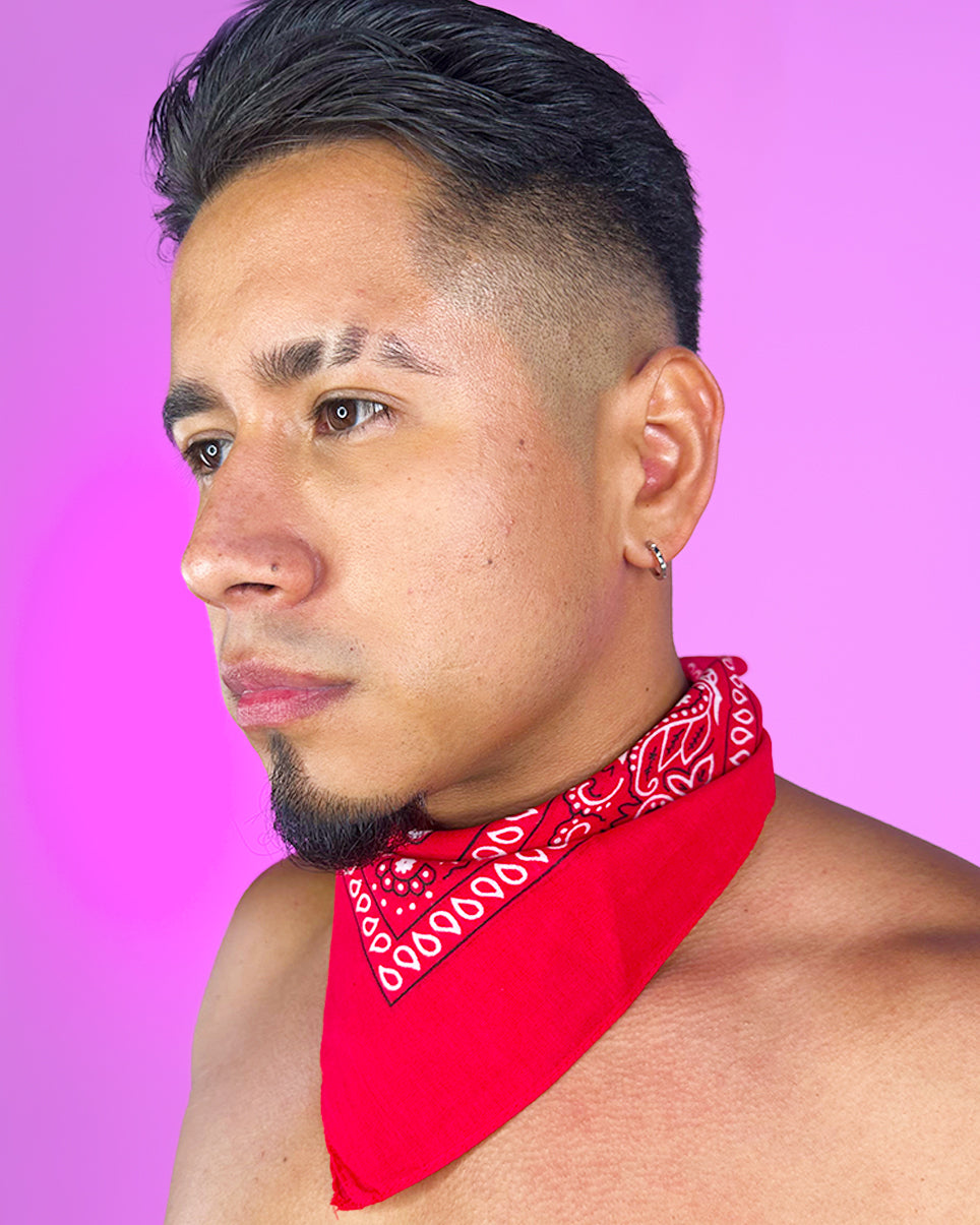 Basic Paisley Unisex Face Bandanna Mask