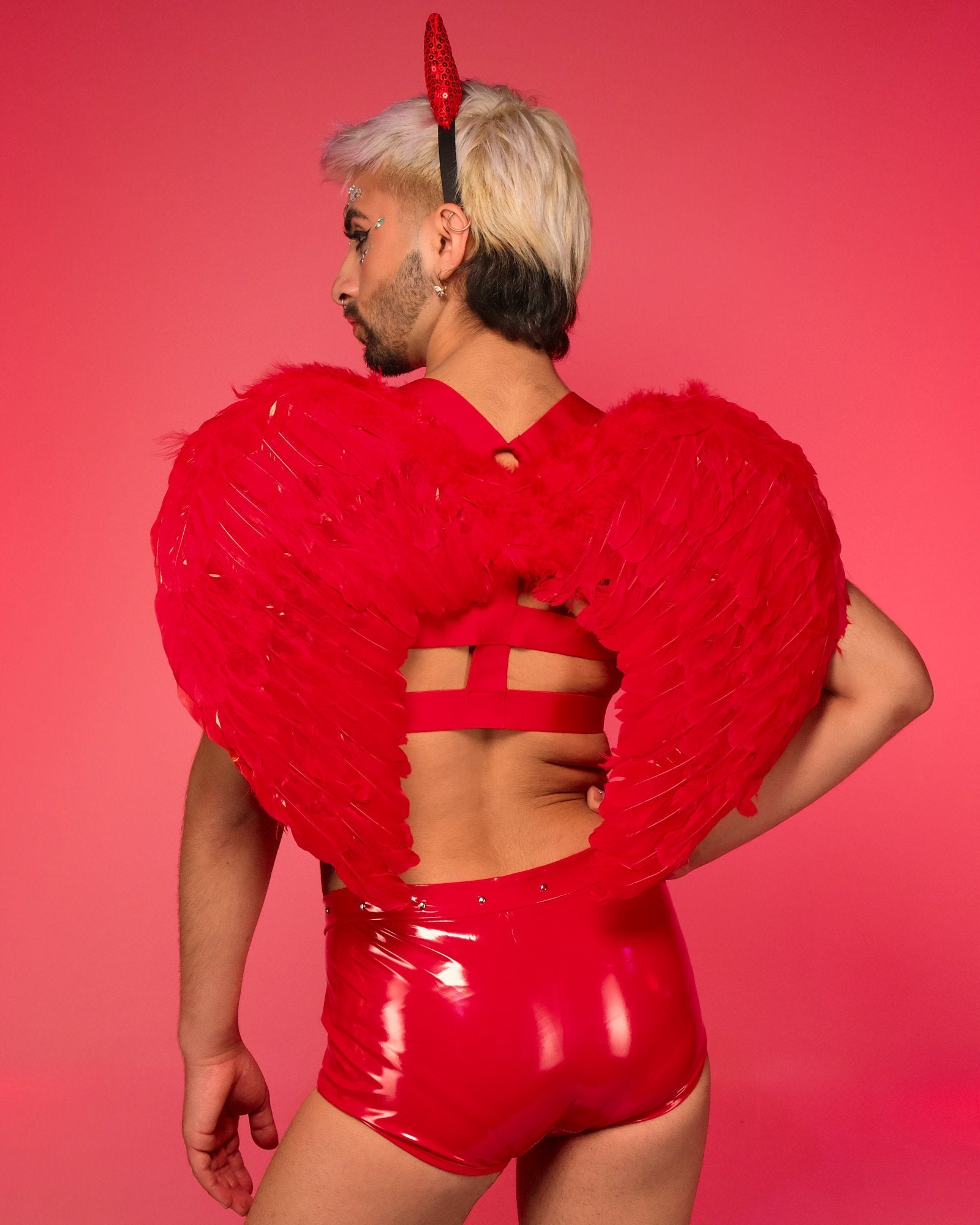 Red Feather Wings